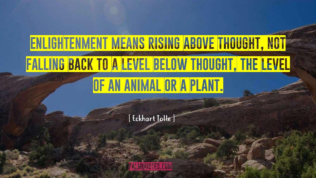 Rising Above Disappointment quotes by Eckhart Tolle