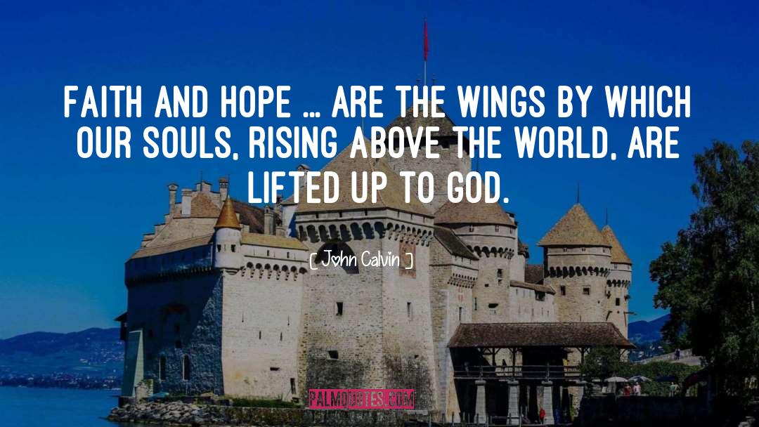 Rising Above The Odds quotes by John Calvin