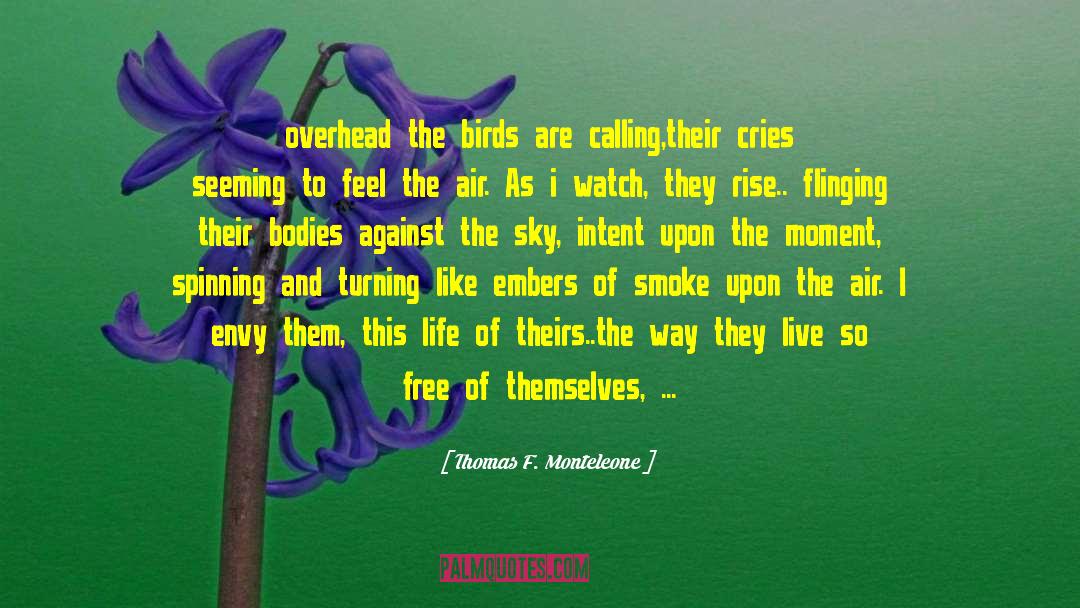 Rising Up quotes by Thomas F. Monteleone