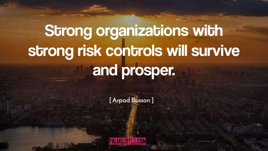 Risk And Failure quotes by Arpad Busson