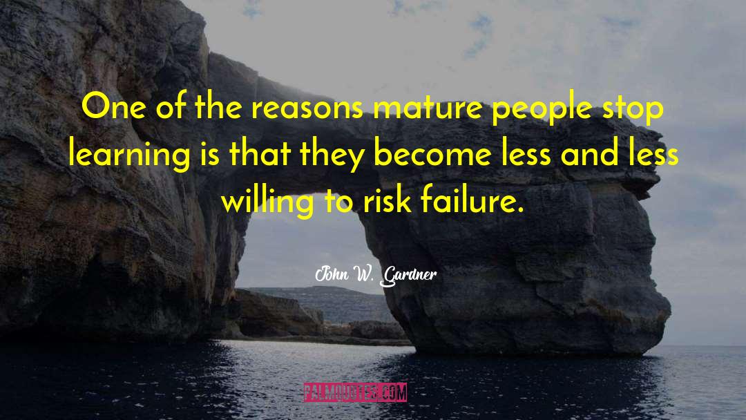 Risk And Failure quotes by John W. Gardner