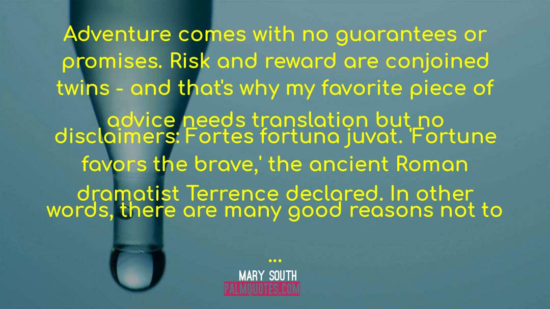Risk And Reward quotes by Mary South