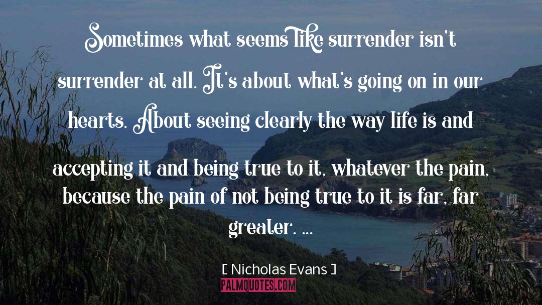 Risks In Life quotes by Nicholas Evans