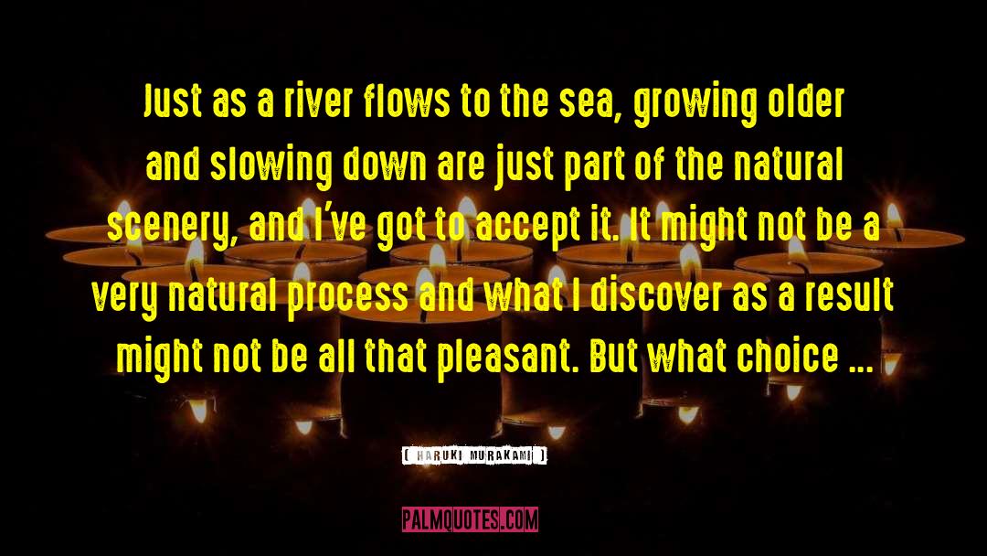 River Rapids quotes by Haruki Murakami