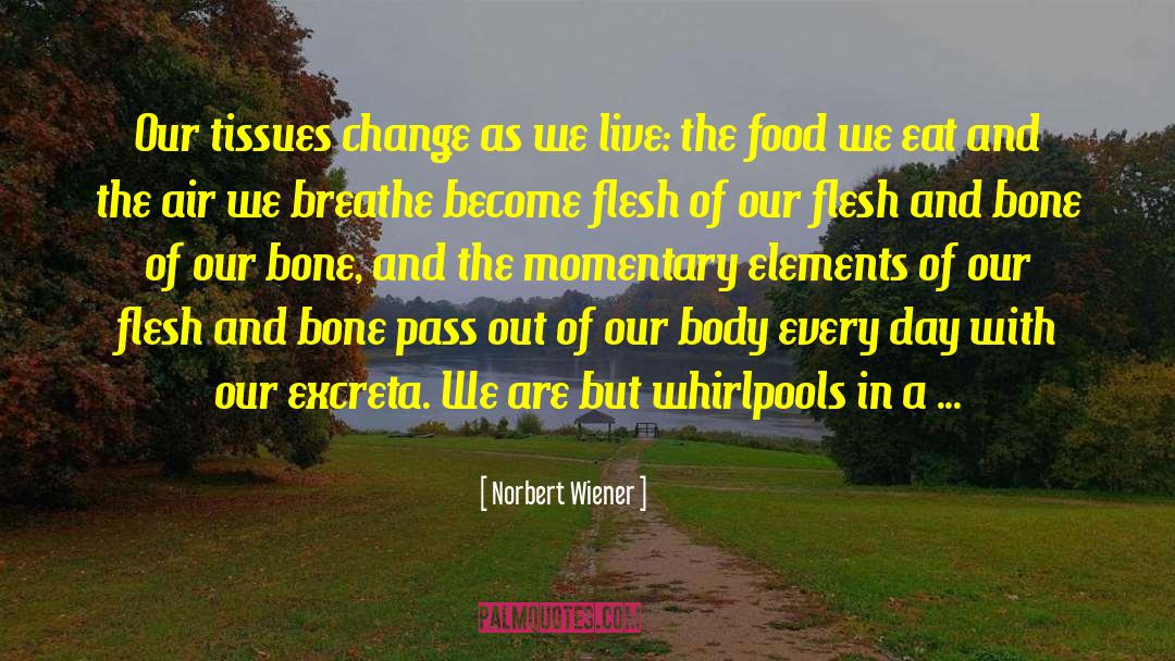 River Running quotes by Norbert Wiener