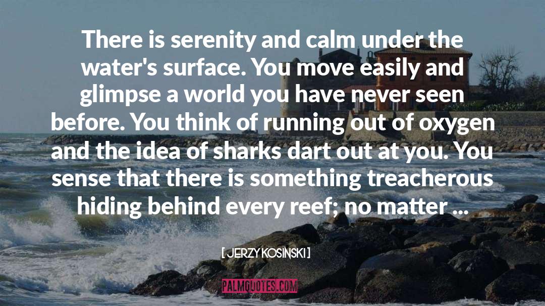 River Running quotes by Jerzy Kosinski