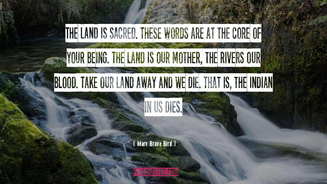 Rivers quotes by Mary Brave Bird