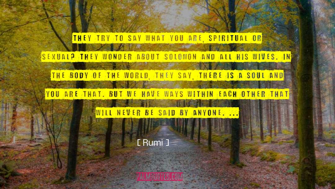 Rivers Solomon quotes by Rumi