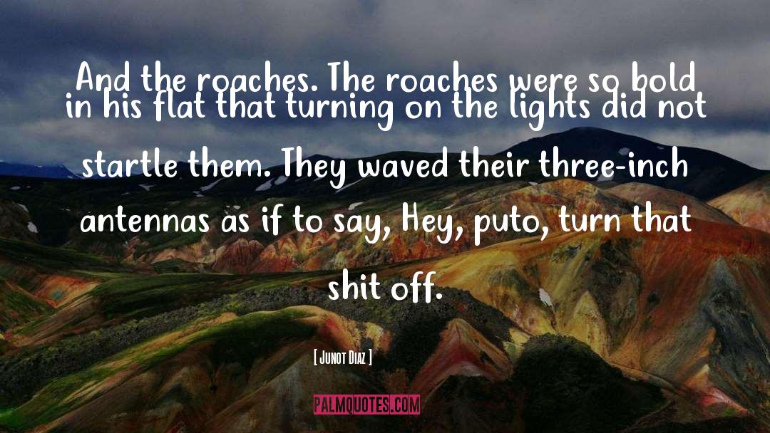 Roaches quotes by Junot Diaz