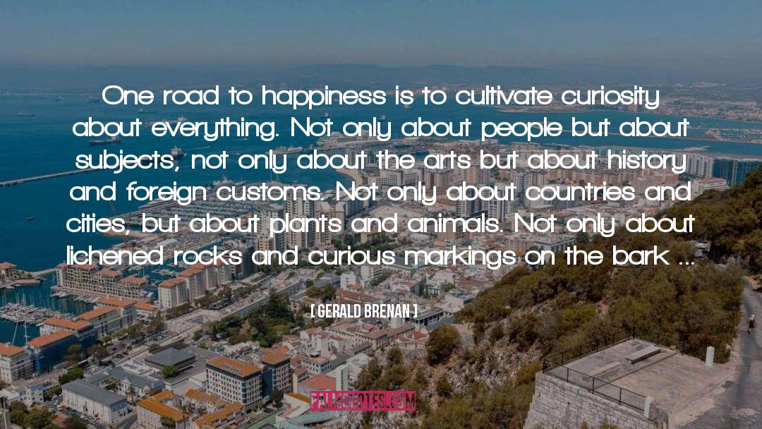 Road To Happiness quotes by Gerald Brenan