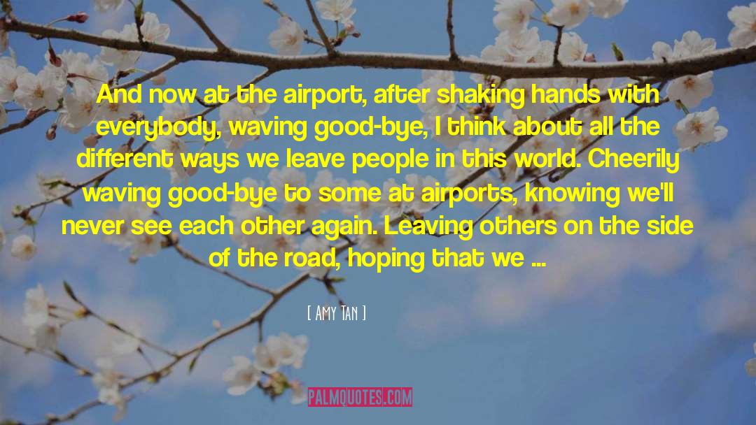 Road Trips quotes by Amy Tan