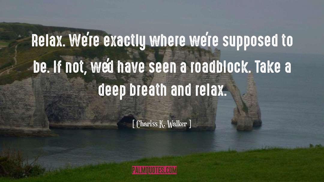 Roadblock quotes by Chariss K. Walker