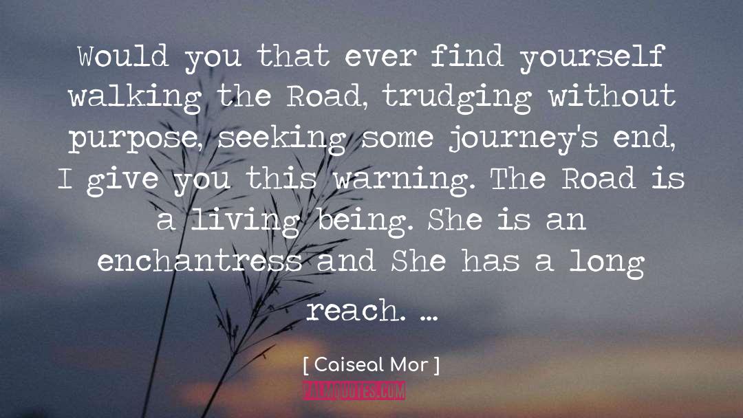 Roads And Bridges quotes by Caiseal Mor