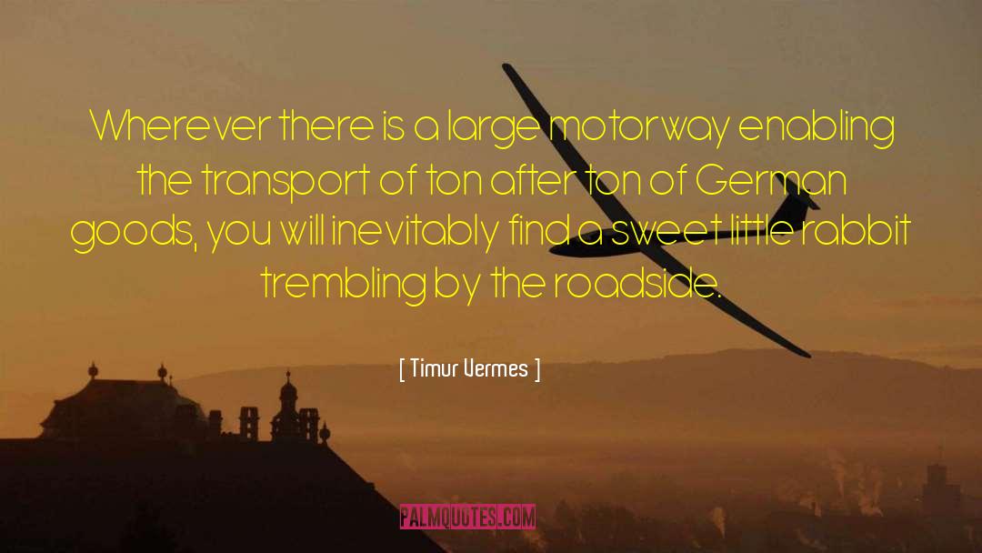 Roadside quotes by Timur Vermes