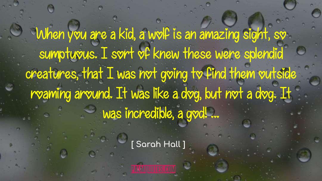 Roaming Around quotes by Sarah Hall