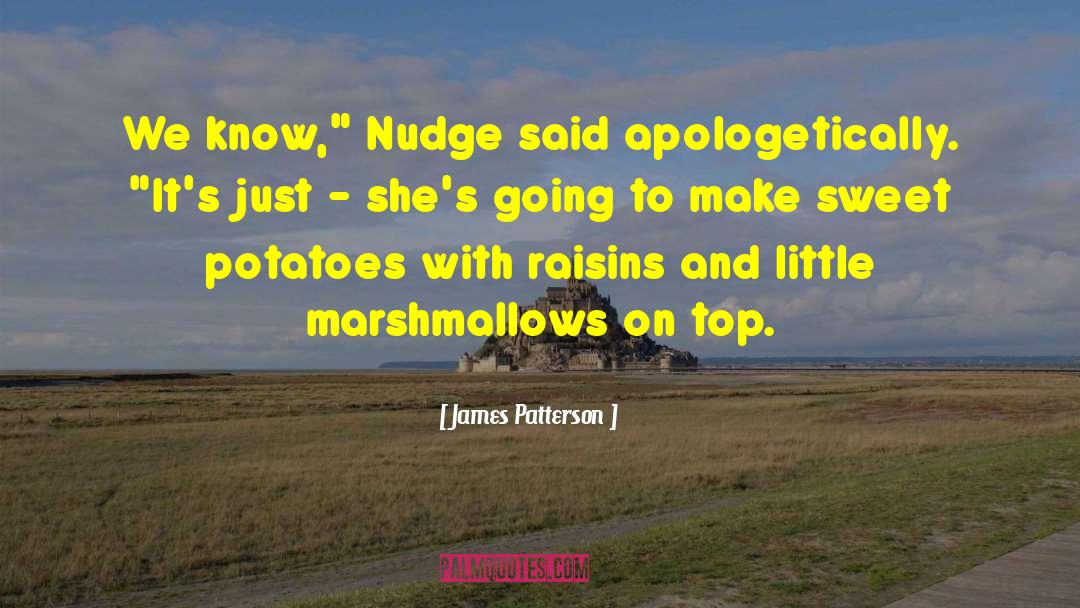 Roasted Marshmallows quotes by James Patterson
