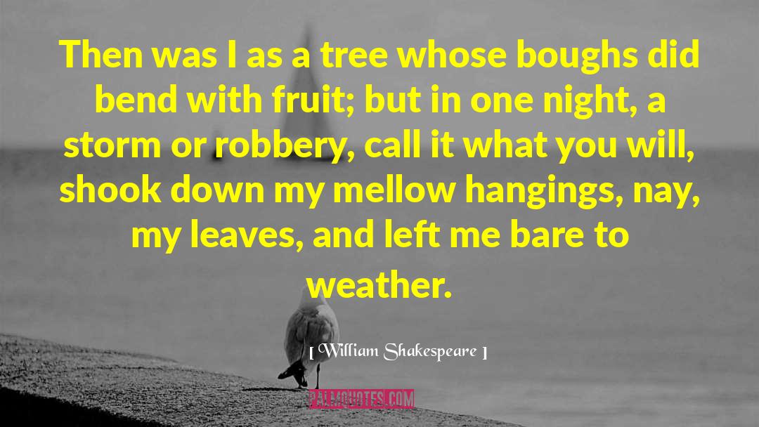 Robbery quotes by William Shakespeare