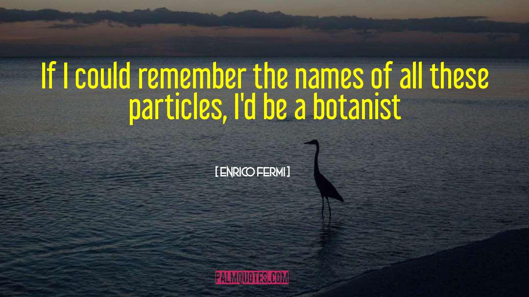 Robert Brown Botanist quotes by Enrico Fermi