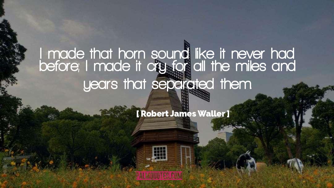 Robert Bunsen quotes by Robert James Waller