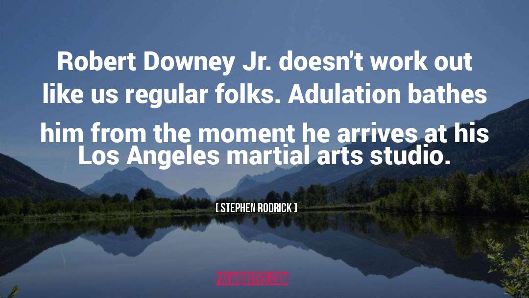 Robert Downey quotes by Stephen Rodrick