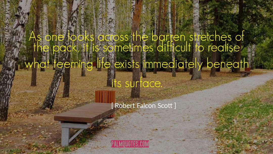 Robert Falcon Scott quotes by Robert Falcon Scott