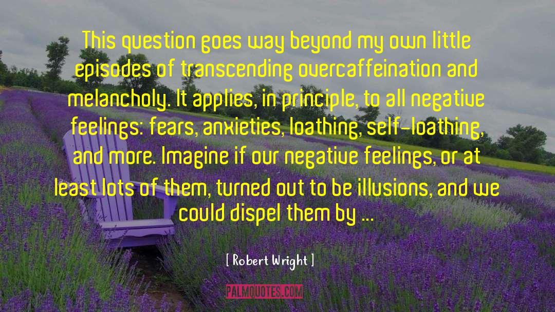 Robert Fitzgerald quotes by Robert Wright