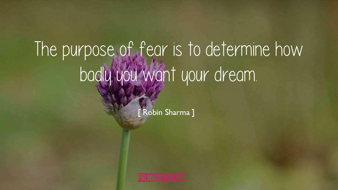 Robin Sharma quotes by Robin Sharma