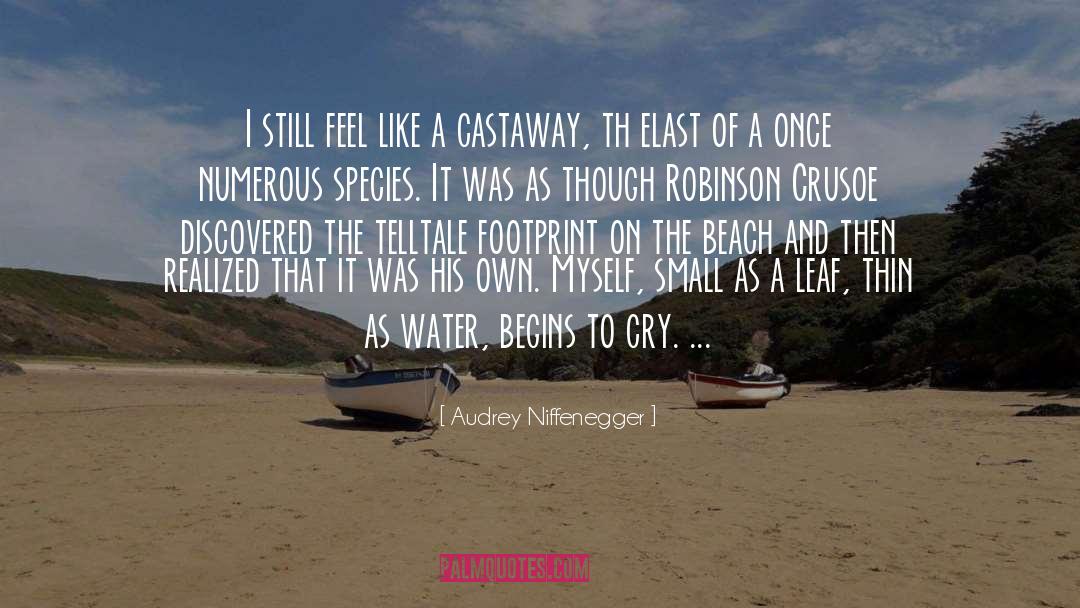 Robinson Crusoe quotes by Audrey Niffenegger