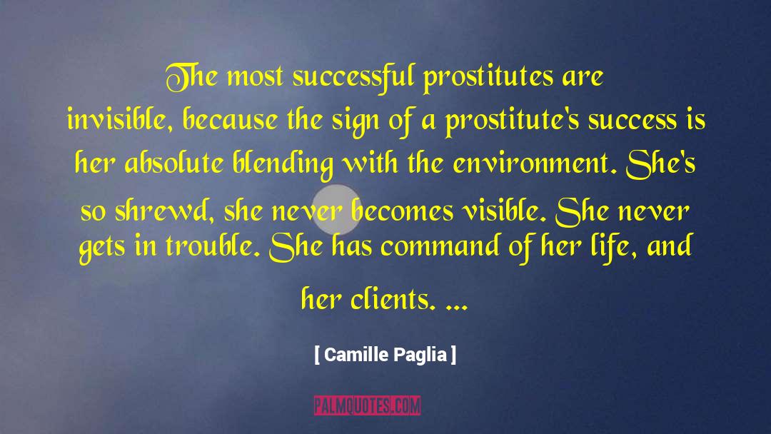 Robotic Prostitutes quotes by Camille Paglia