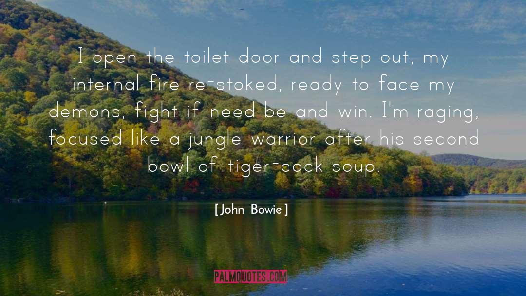 Robust And Focused quotes by John  Bowie