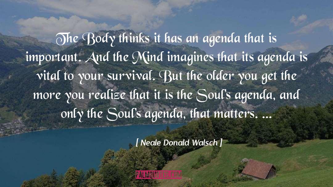 Robyn Donald quotes by Neale Donald Walsch