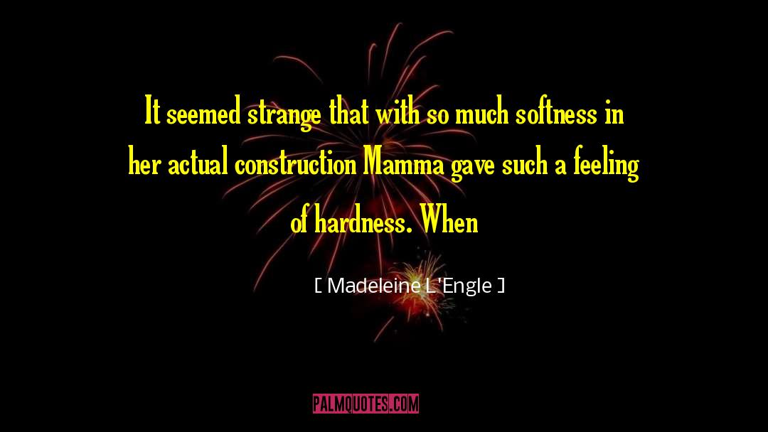 Rocchi Construction quotes by Madeleine L'Engle