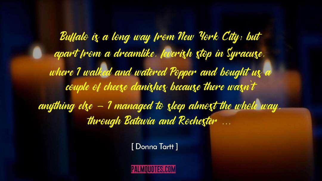 Rochester quotes by Donna Tartt