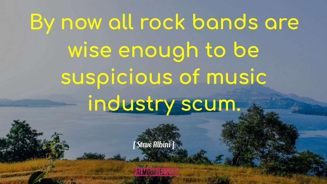 Rock Bands quotes by Steve Albini