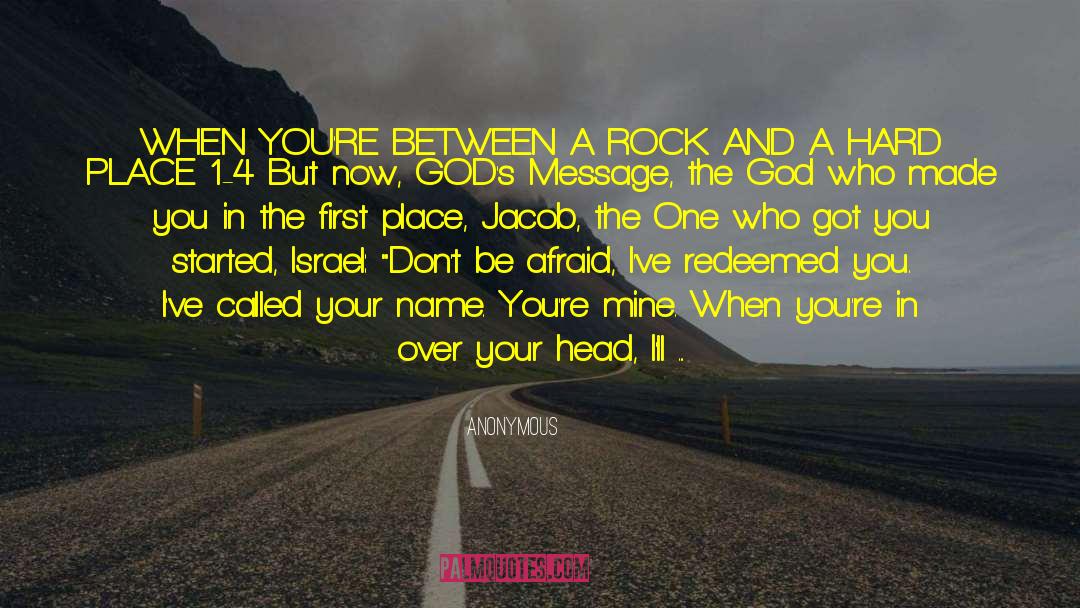 Rock Chick 3 quotes by Anonymous