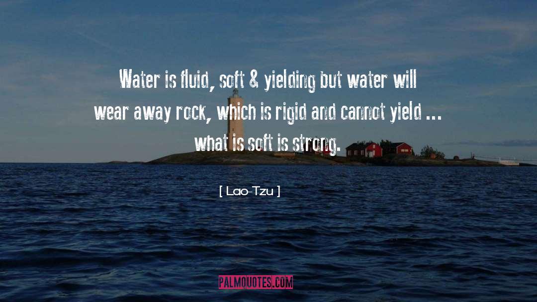 Rock Chick 3 quotes by Lao-Tzu