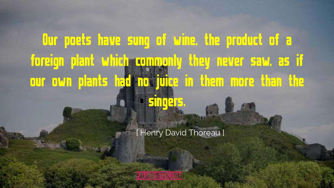 Rock Singers quotes by Henry David Thoreau