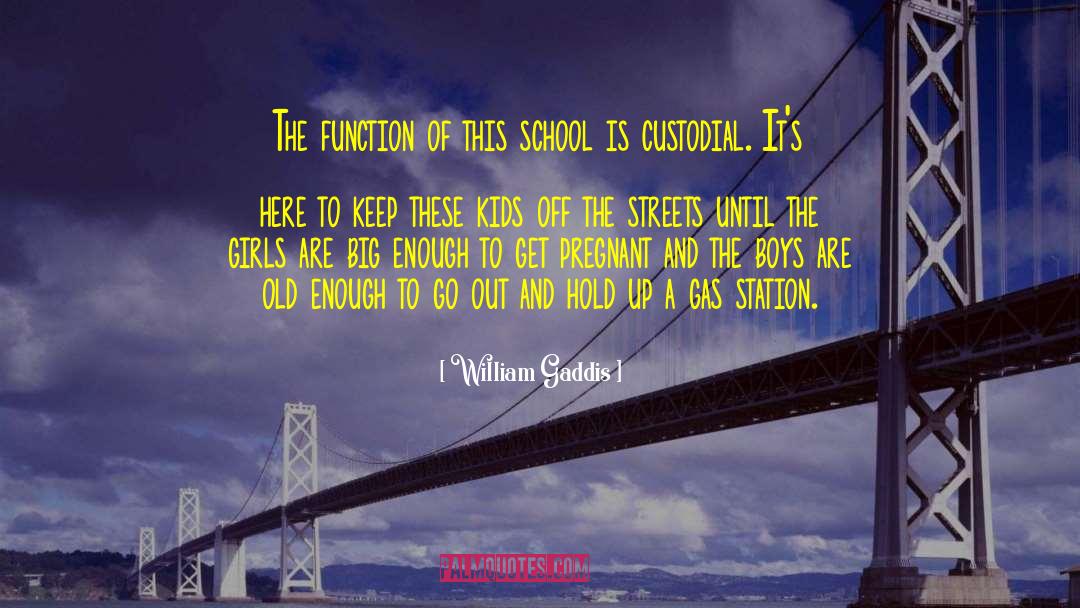 Rocket Boys quotes by William Gaddis