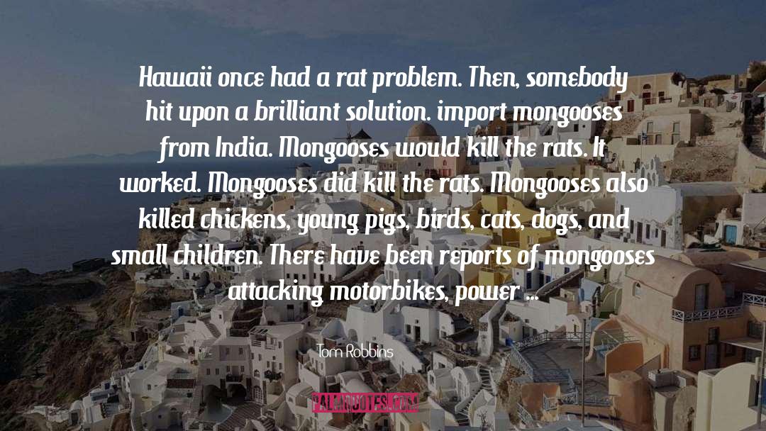 Rodents quotes by Tom Robbins