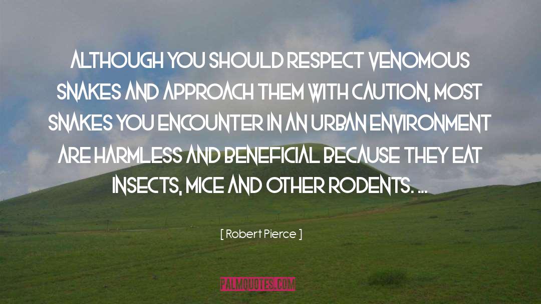 Rodents quotes by Robert Pierce