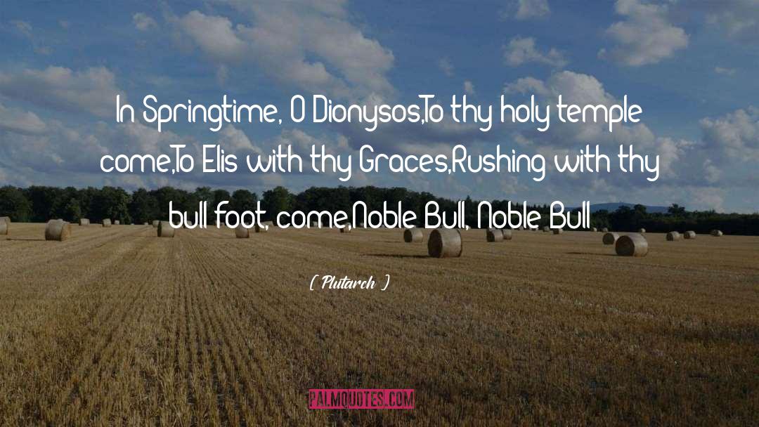 Rodeo Bull Fighters quotes by Plutarch