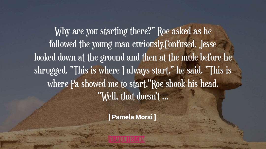 Roe quotes by Pamela Morsi