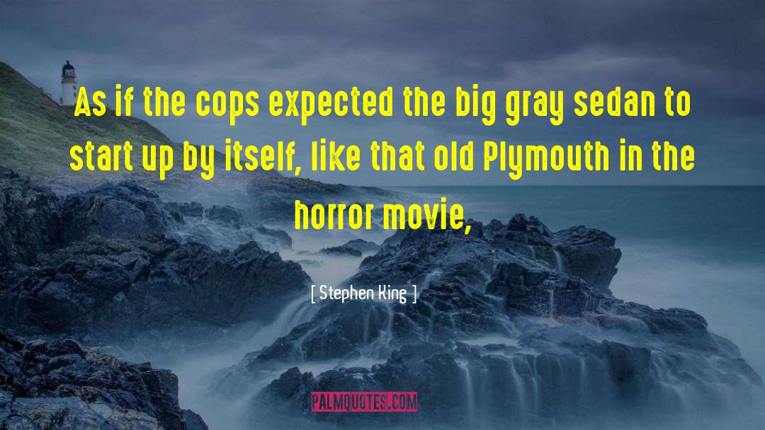 Rokay Plymouth quotes by Stephen King