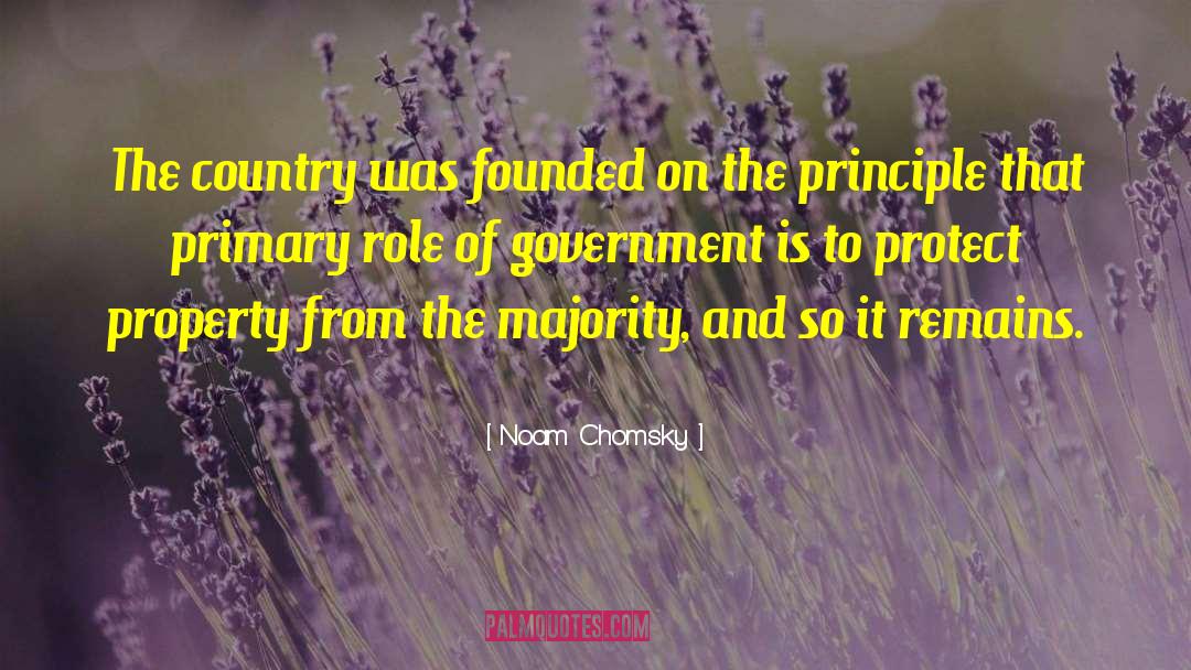 Role Of Government quotes by Noam Chomsky