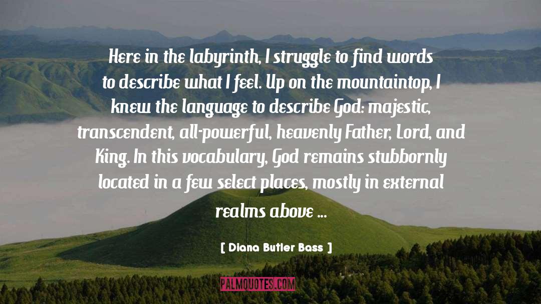 Role Of Religion quotes by Diana Butler Bass