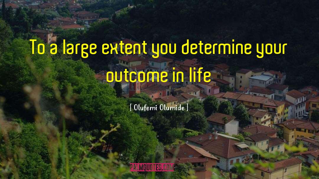 Roles In Life quotes by Olufemi Olumide