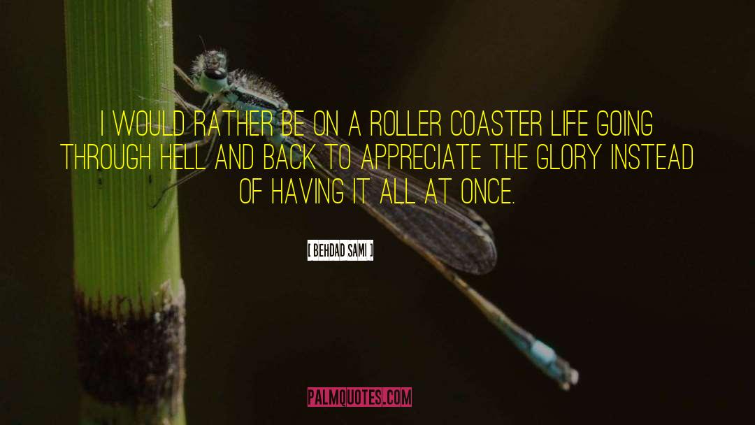Roller Coaster Rides quotes by Behdad Sami