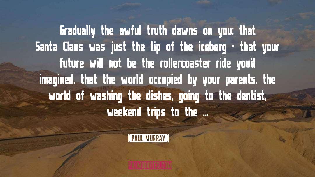 Rollercoaster quotes by Paul Murray