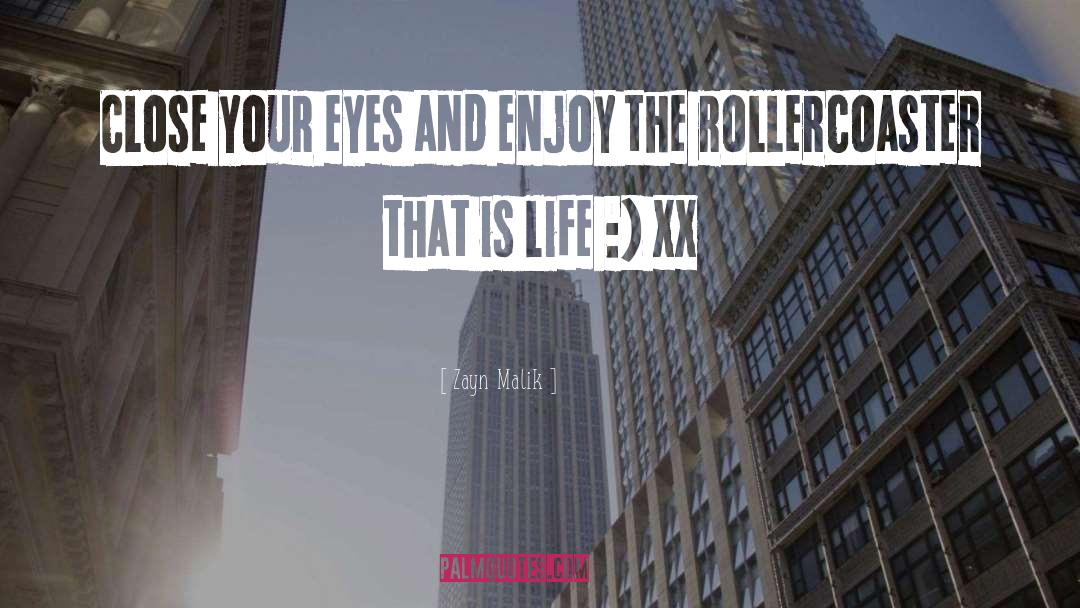 Rollercoaster quotes by Zayn Malik