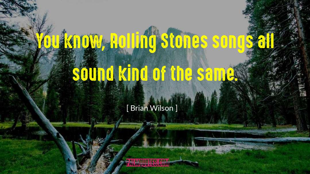 Rolling Stones Concert quotes by Brian Wilson